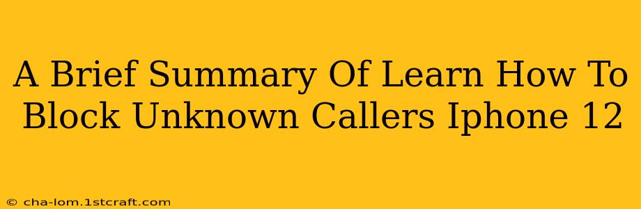 A Brief Summary Of Learn How To Block Unknown Callers Iphone 12