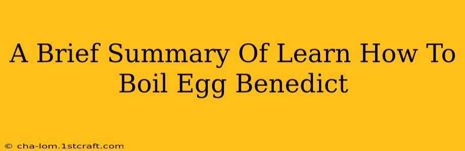 A Brief Summary Of Learn How To Boil Egg Benedict