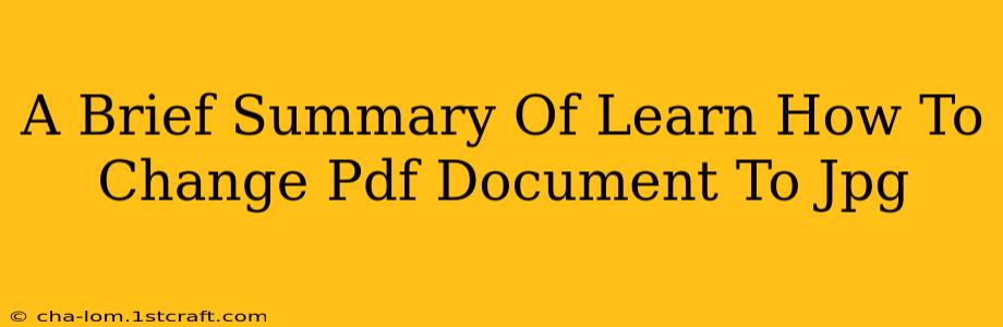 A Brief Summary Of Learn How To Change Pdf Document To Jpg