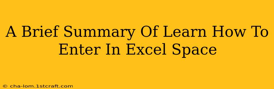 A Brief Summary Of Learn How To Enter In Excel Space