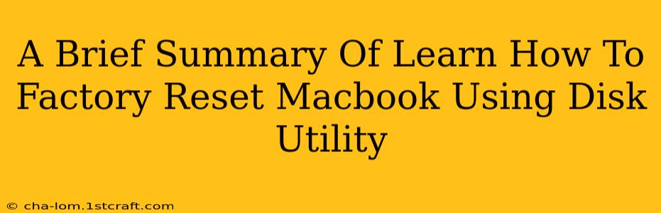 A Brief Summary Of Learn How To Factory Reset Macbook Using Disk Utility