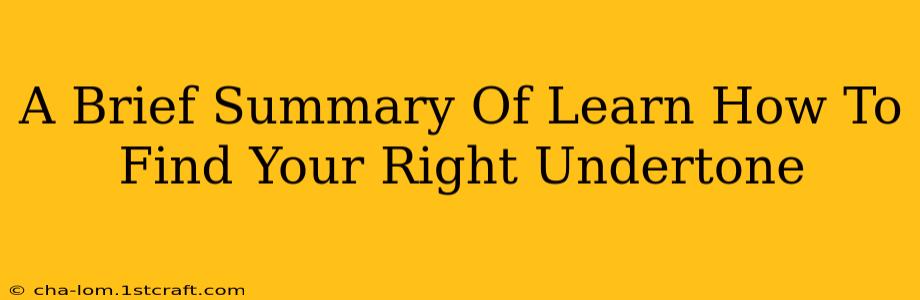 A Brief Summary Of Learn How To Find Your Right Undertone