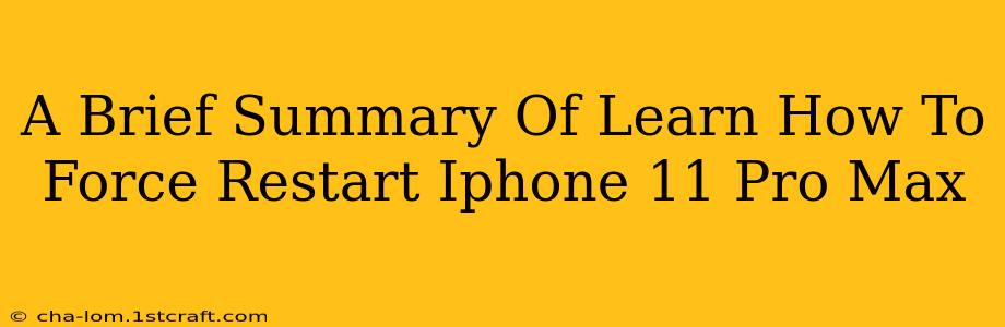 A Brief Summary Of Learn How To Force Restart Iphone 11 Pro Max