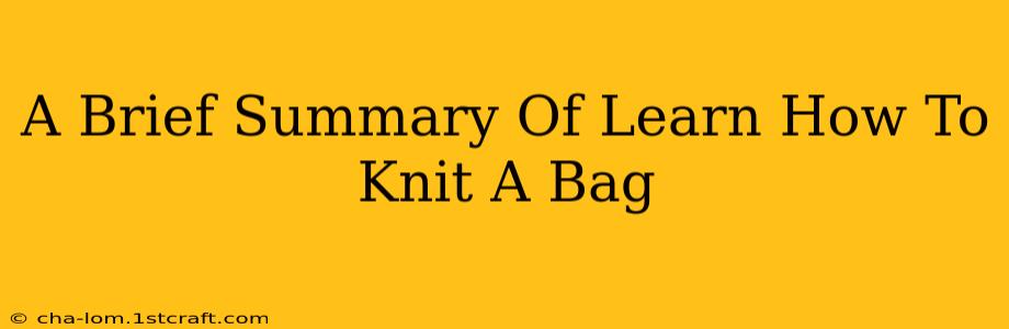 A Brief Summary Of Learn How To Knit A Bag