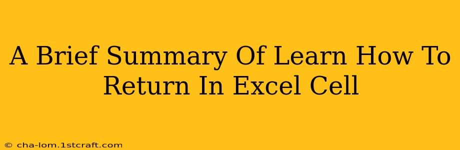 A Brief Summary Of Learn How To Return In Excel Cell