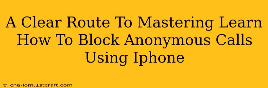 A Clear Route To Mastering Learn How To Block Anonymous Calls Using Iphone