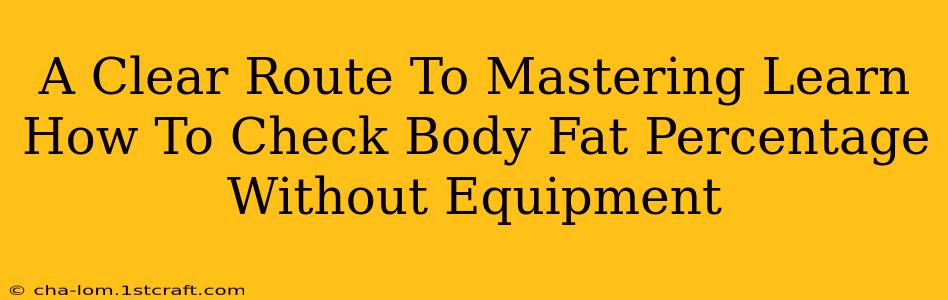 A Clear Route To Mastering Learn How To Check Body Fat Percentage Without Equipment