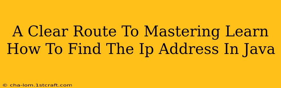 A Clear Route To Mastering Learn How To Find The Ip Address In Java