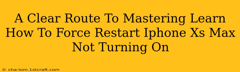 A Clear Route To Mastering Learn How To Force Restart Iphone Xs Max Not Turning On