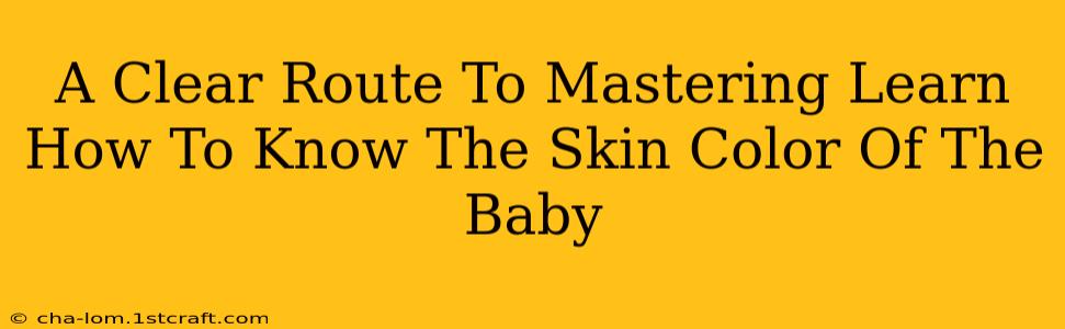 A Clear Route To Mastering Learn How To Know The Skin Color Of The Baby