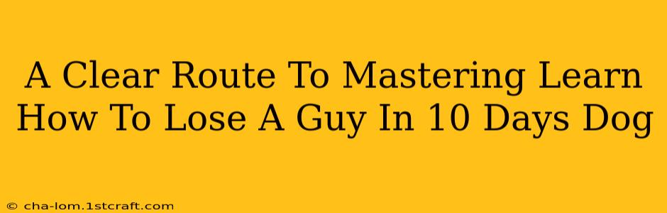 A Clear Route To Mastering Learn How To Lose A Guy In 10 Days Dog