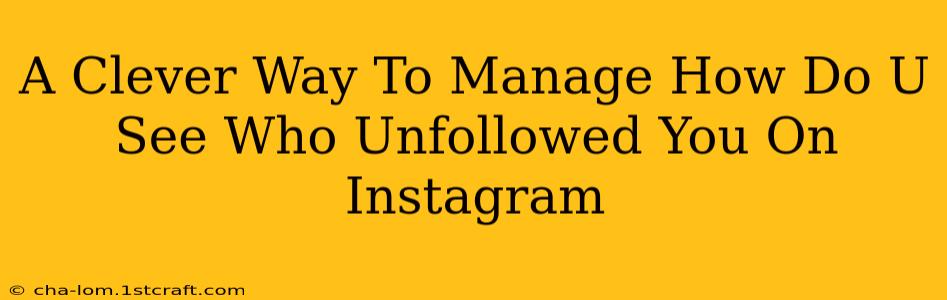 A Clever Way To Manage How Do U See Who Unfollowed You On Instagram