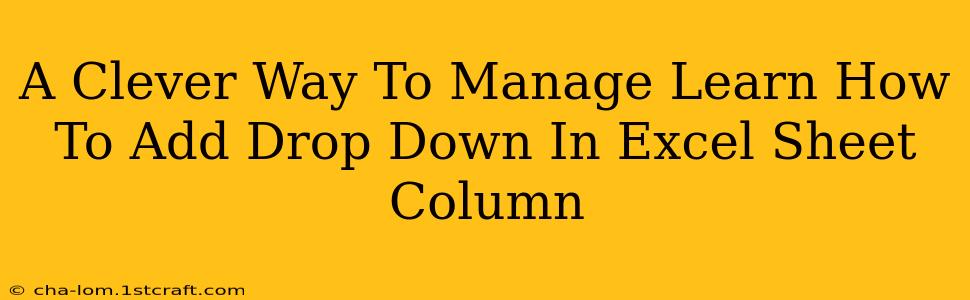 A Clever Way To Manage Learn How To Add Drop Down In Excel Sheet Column