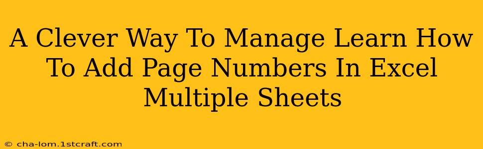 A Clever Way To Manage Learn How To Add Page Numbers In Excel Multiple Sheets