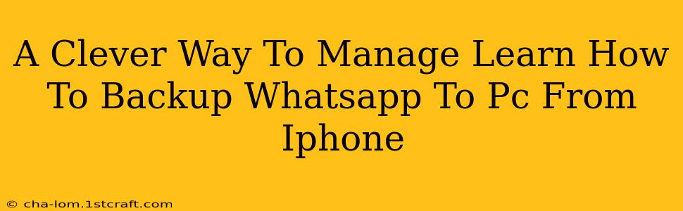 A Clever Way To Manage Learn How To Backup Whatsapp To Pc From Iphone