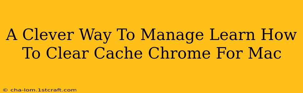 A Clever Way To Manage Learn How To Clear Cache Chrome For Mac