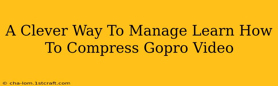 A Clever Way To Manage Learn How To Compress Gopro Video