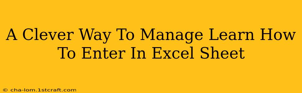 A Clever Way To Manage Learn How To Enter In Excel Sheet