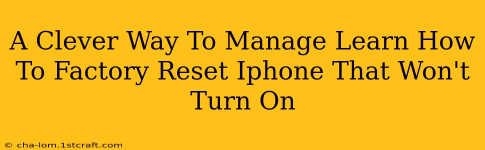 A Clever Way To Manage Learn How To Factory Reset Iphone That Won't Turn On