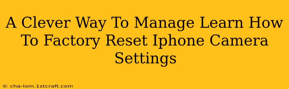 A Clever Way To Manage Learn How To Factory Reset Iphone Camera Settings