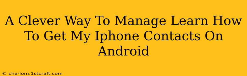 A Clever Way To Manage Learn How To Get My Iphone Contacts On Android