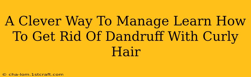 A Clever Way To Manage Learn How To Get Rid Of Dandruff With Curly Hair