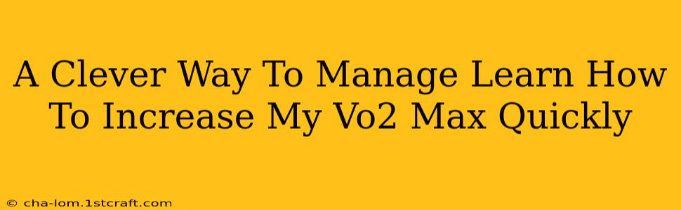 A Clever Way To Manage Learn How To Increase My Vo2 Max Quickly