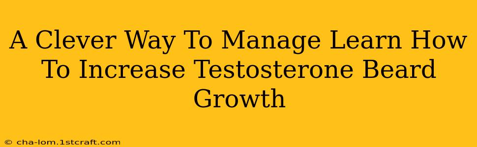 A Clever Way To Manage Learn How To Increase Testosterone Beard Growth