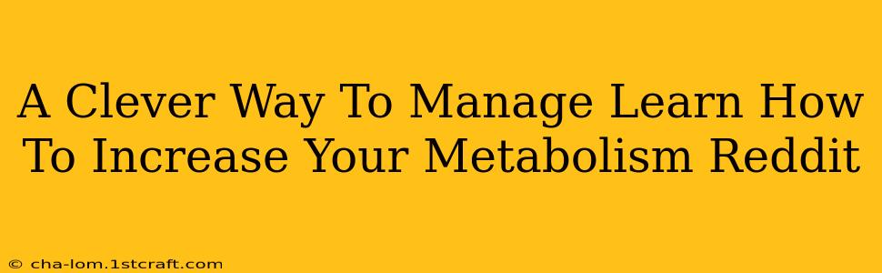 A Clever Way To Manage Learn How To Increase Your Metabolism Reddit