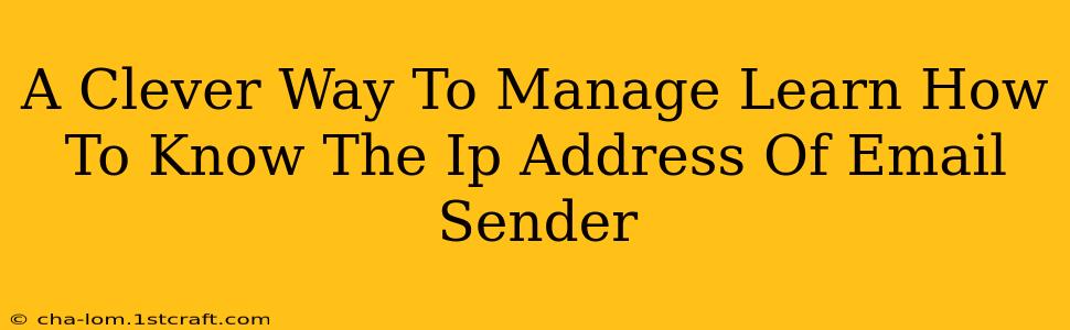 A Clever Way To Manage Learn How To Know The Ip Address Of Email Sender