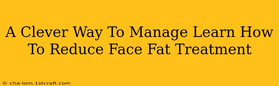 A Clever Way To Manage Learn How To Reduce Face Fat Treatment