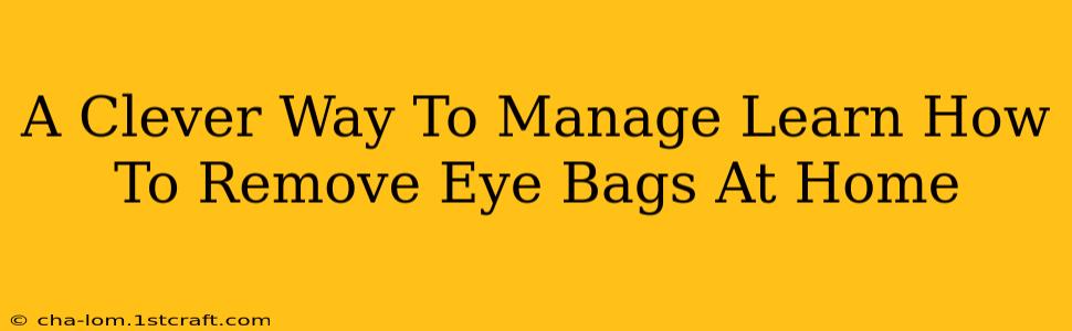 A Clever Way To Manage Learn How To Remove Eye Bags At Home