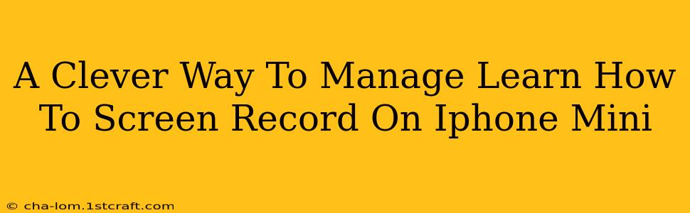 A Clever Way To Manage Learn How To Screen Record On Iphone Mini