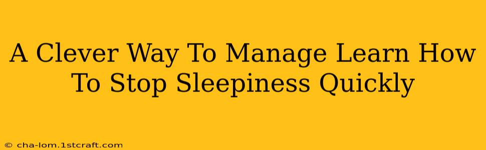 A Clever Way To Manage Learn How To Stop Sleepiness Quickly