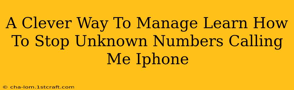 A Clever Way To Manage Learn How To Stop Unknown Numbers Calling Me Iphone