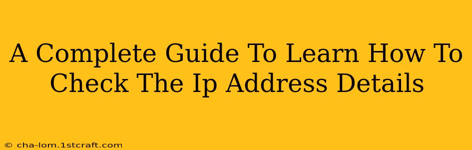 A Complete Guide To Learn How To Check The Ip Address Details