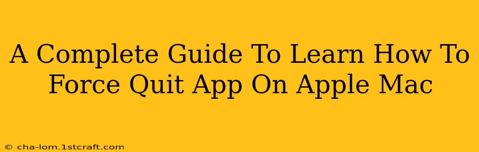 A Complete Guide To Learn How To Force Quit App On Apple Mac