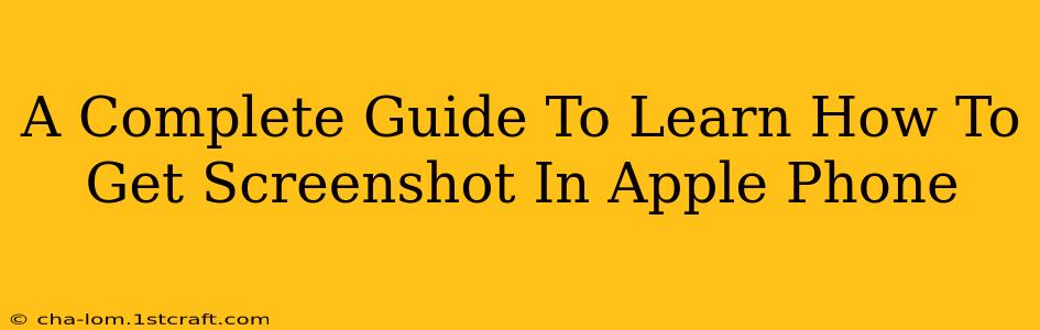 A Complete Guide To Learn How To Get Screenshot In Apple Phone