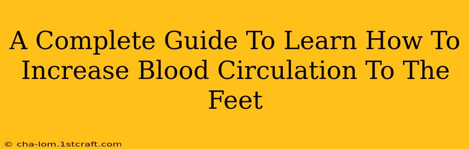 A Complete Guide To Learn How To Increase Blood Circulation To The Feet