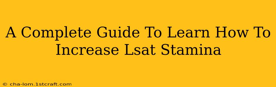 A Complete Guide To Learn How To Increase Lsat Stamina