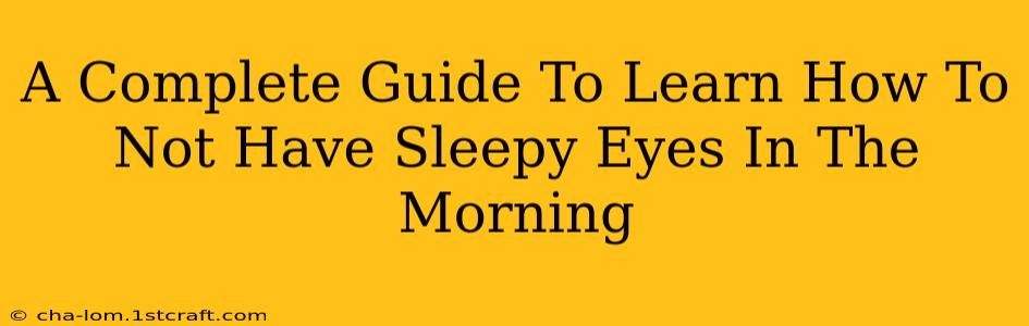 A Complete Guide To Learn How To Not Have Sleepy Eyes In The Morning