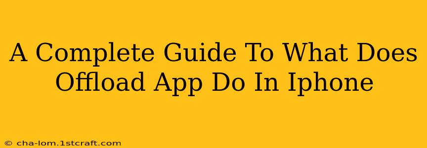 A Complete Guide To What Does Offload App Do In Iphone