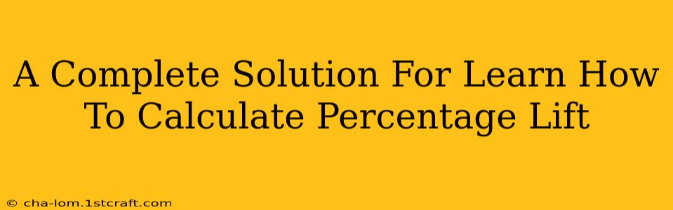 A Complete Solution For Learn How To Calculate Percentage Lift