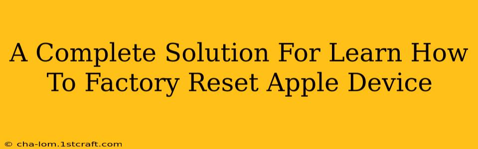 A Complete Solution For Learn How To Factory Reset Apple Device