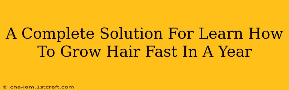 A Complete Solution For Learn How To Grow Hair Fast In A Year