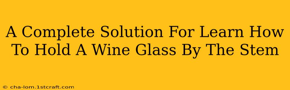 A Complete Solution For Learn How To Hold A Wine Glass By The Stem