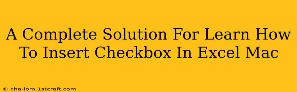 A Complete Solution For Learn How To Insert Checkbox In Excel Mac