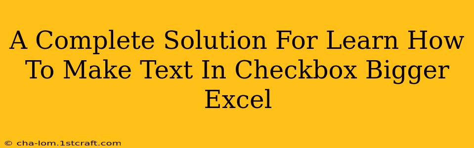 A Complete Solution For Learn How To Make Text In Checkbox Bigger Excel