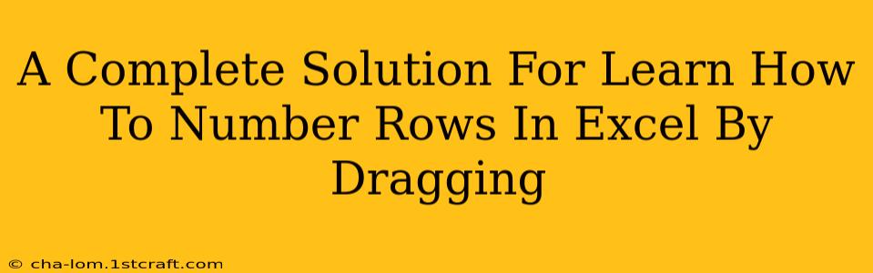 A Complete Solution For Learn How To Number Rows In Excel By Dragging