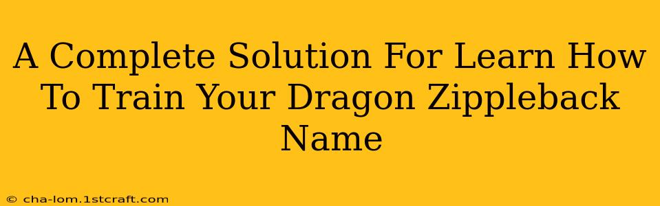 A Complete Solution For Learn How To Train Your Dragon Zippleback Name